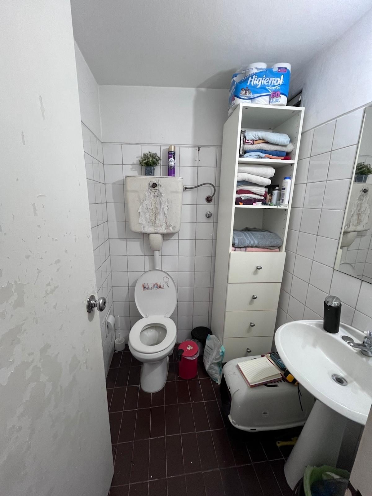 Baño chico antes